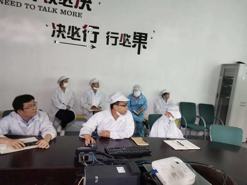 第十一事業部涂裝深圳工廠成功舉辦技術交流活動，共促工藝革新與質量提升